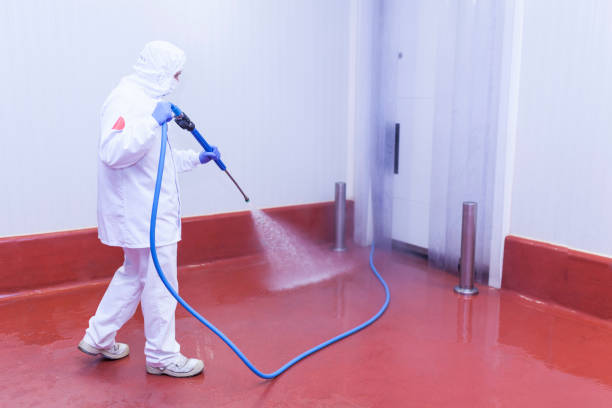 Best Pool Deck Cleaning  in Mira Monte, CA