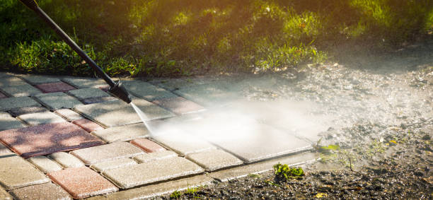 Animal Enclosure Cleaning in Mira Monte, CA